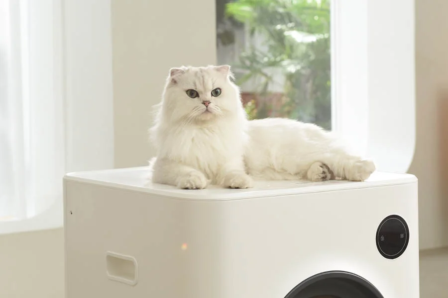 electronic cat litter box